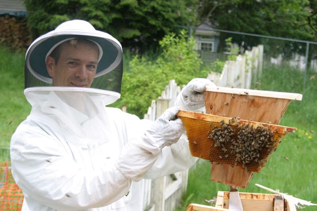 Shifting my Beehive from Langstroth Frames to Top Bar Hive | The ...
